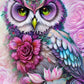 AB Diamond Painting  | OWL