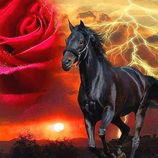 Rose black horse  | Full Round Diamond Painting Kits