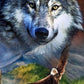 AB Diamond Painting  |  Eagle Wolf