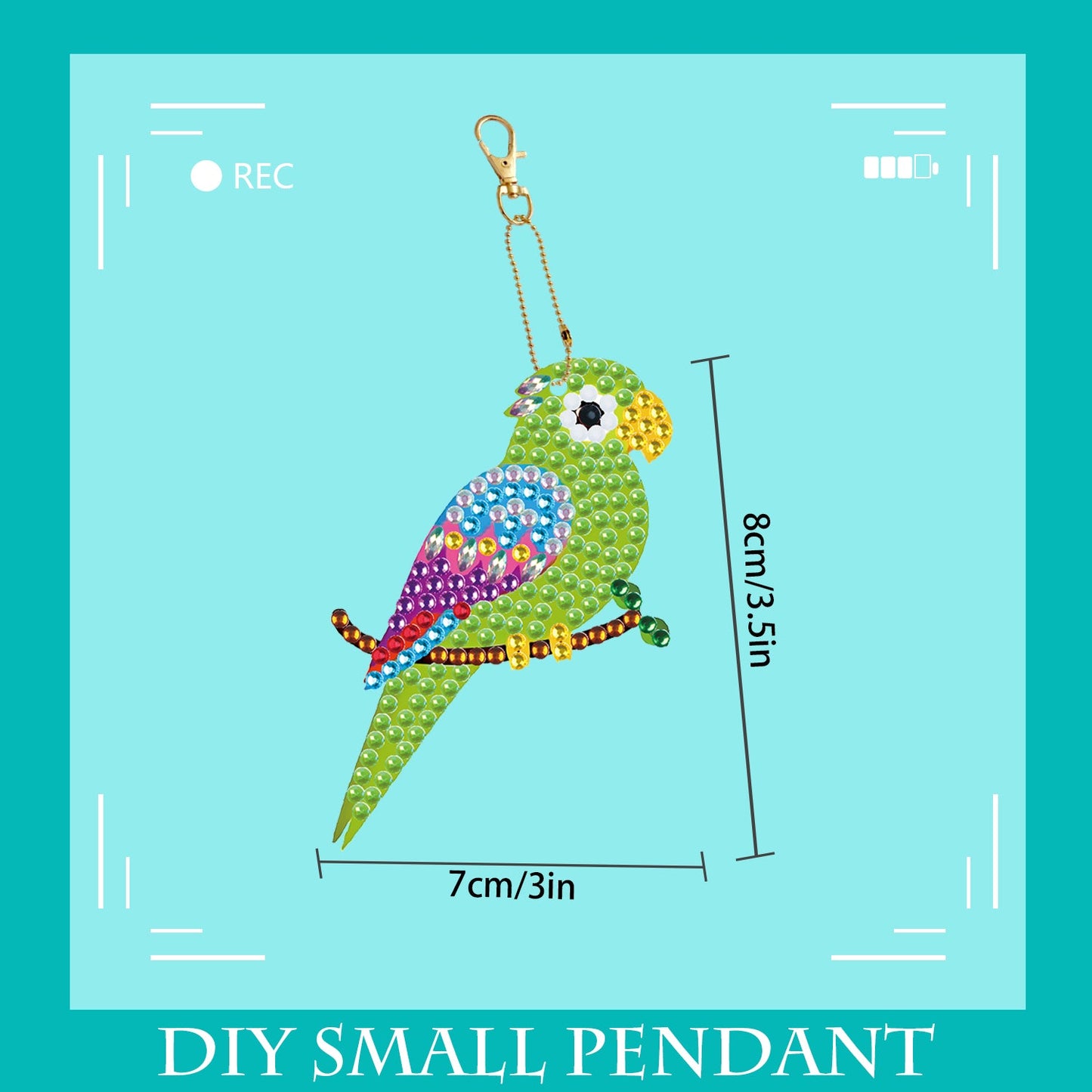 DIY keychain | Parrot | Double-sided | Five Piece Set