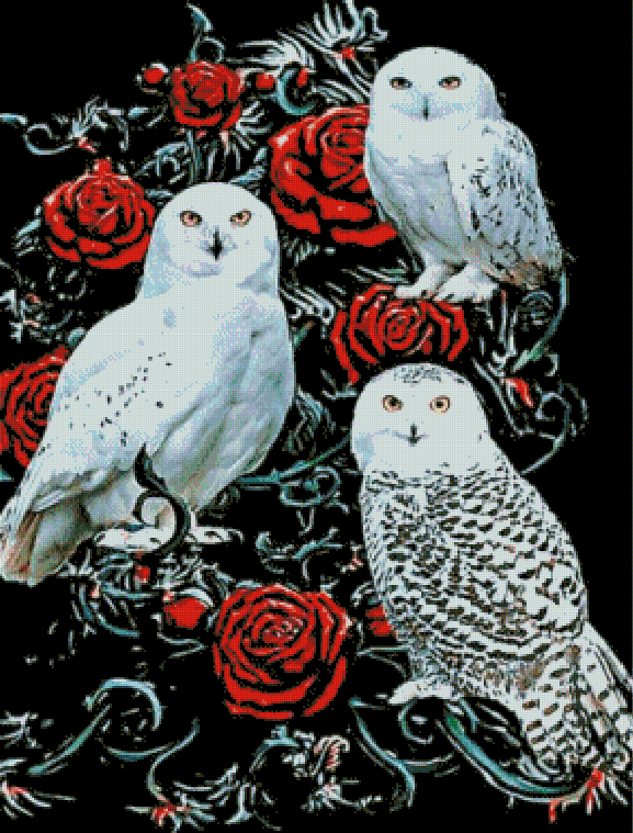 Full Round/Square Diamond Painting Kits |  owl and rose
