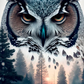 AB Diamond Painting  | OWL