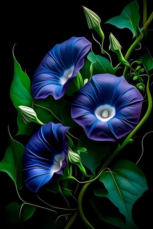 Diamond Painting - Blue Flower
