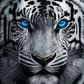 AB Diamond Painting  |  Blue Eyes Tiger