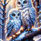 AB Diamond Painting  | Owls