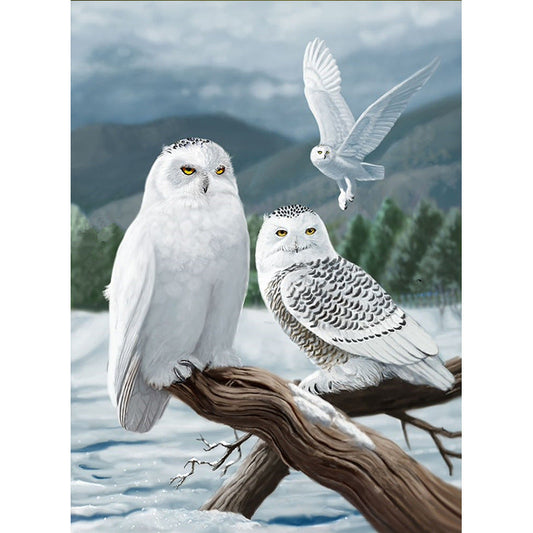 Owl | Full Round Diamond Painting Kits