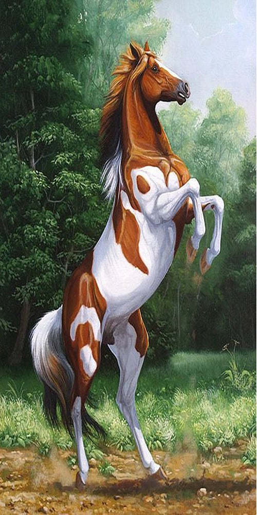 Horse | Full Round/Square Diamond Painting Kits