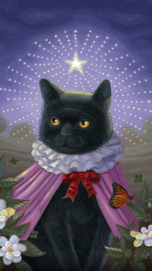 AB Diamond Painting    | Black Cat  Princess
