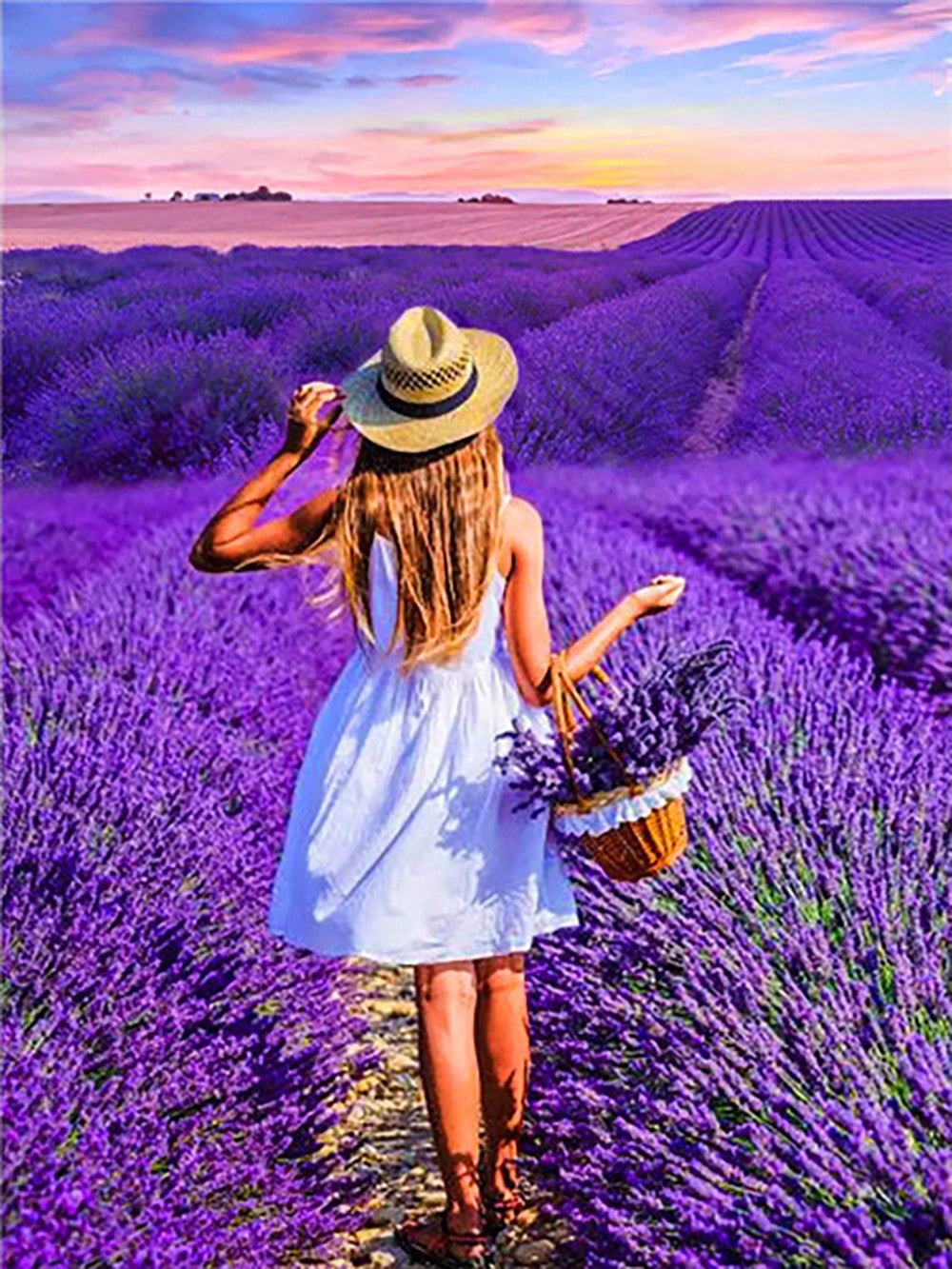 Purple lavender garden | Full Round Diamond Painting Kits (30 x 30)