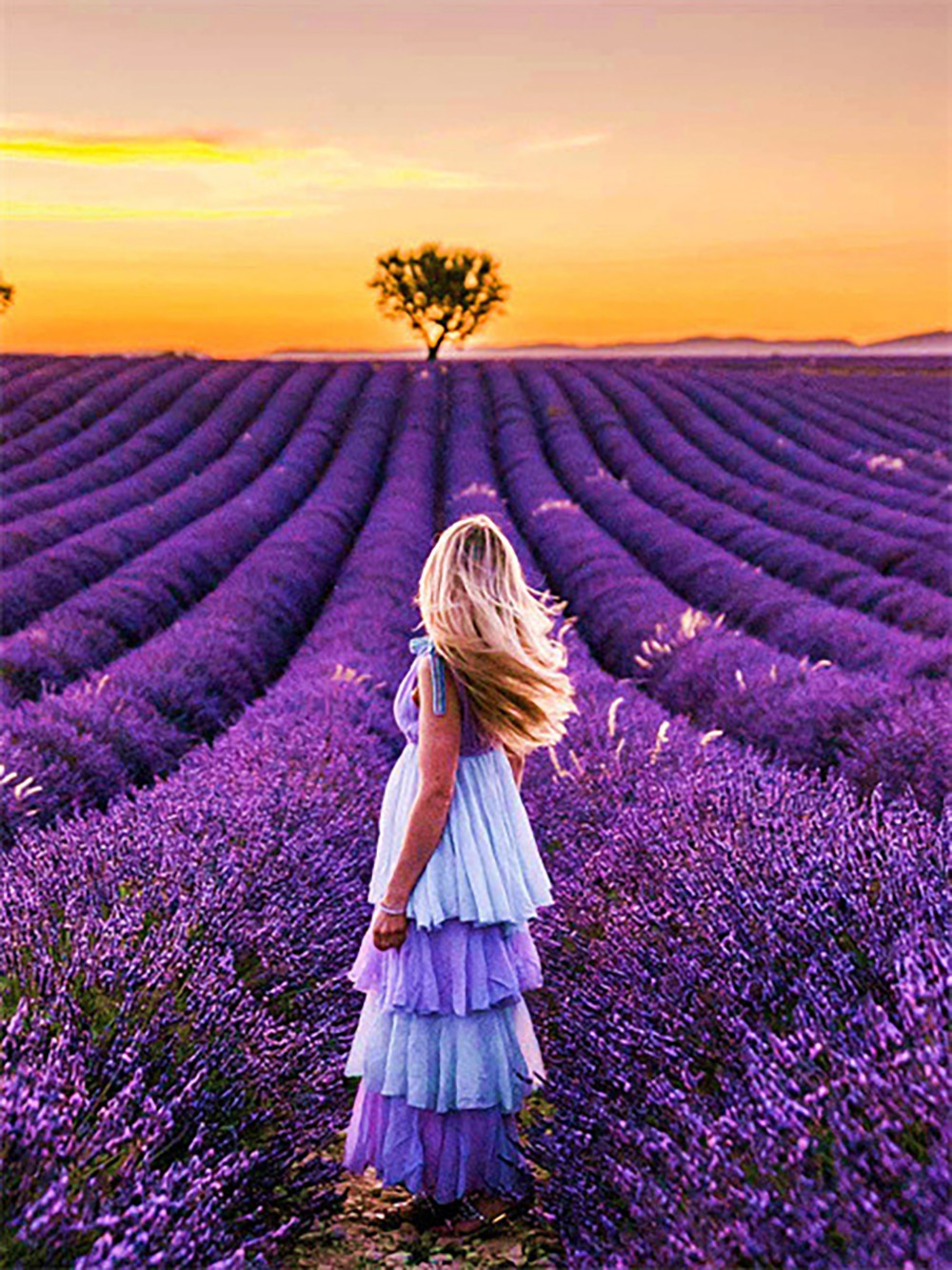 Purple lavender garden | Full Round Diamond Painting Kits (30 x 30)