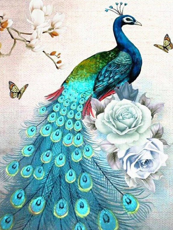 Peacock | Full Round Diamond Painting Kits