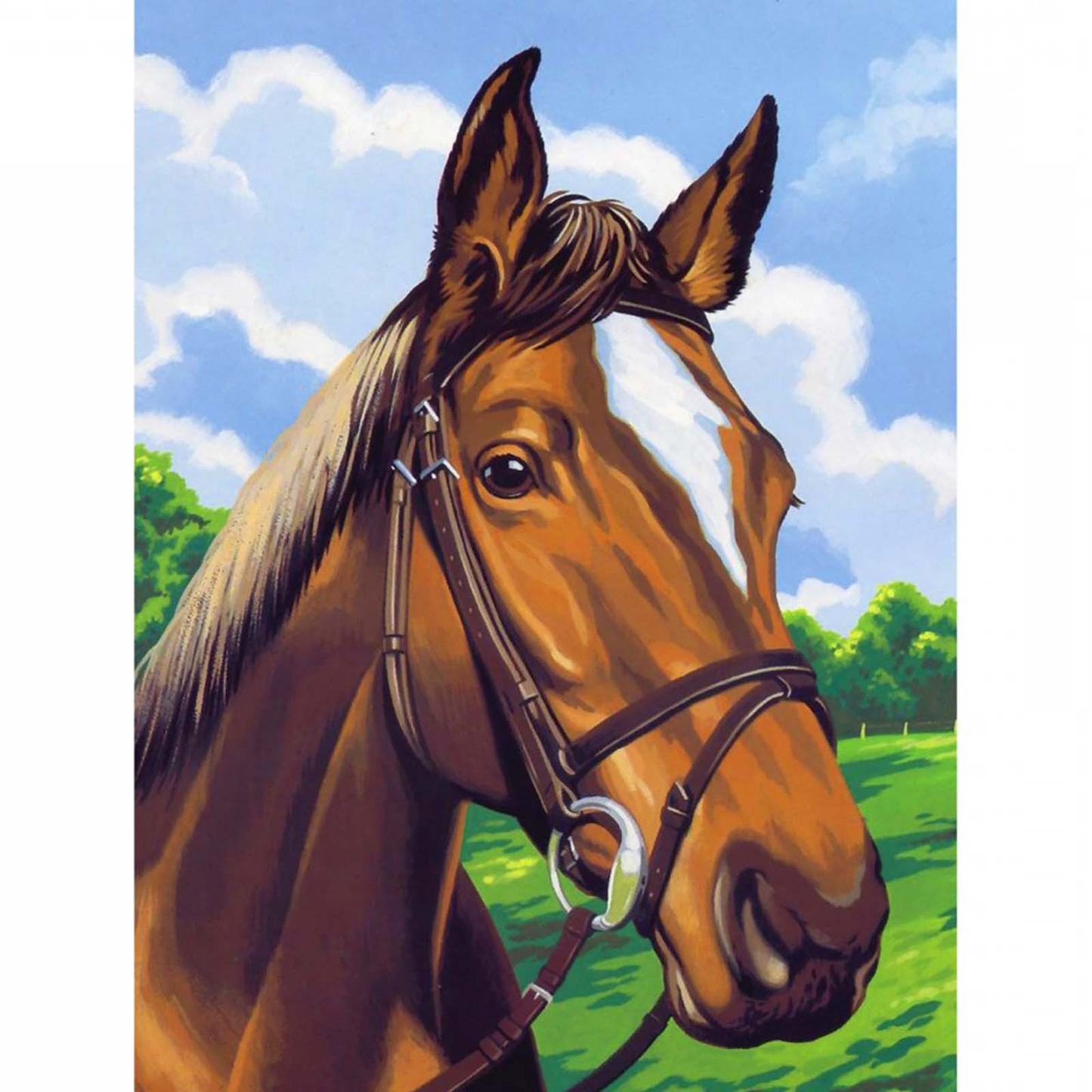 Horse | Full Round Diamond Painting Kits