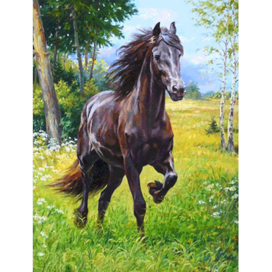 Horse | Full Round Diamond Painting Kits