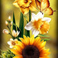 Free AB  Diamond Painting  |  Sunflower